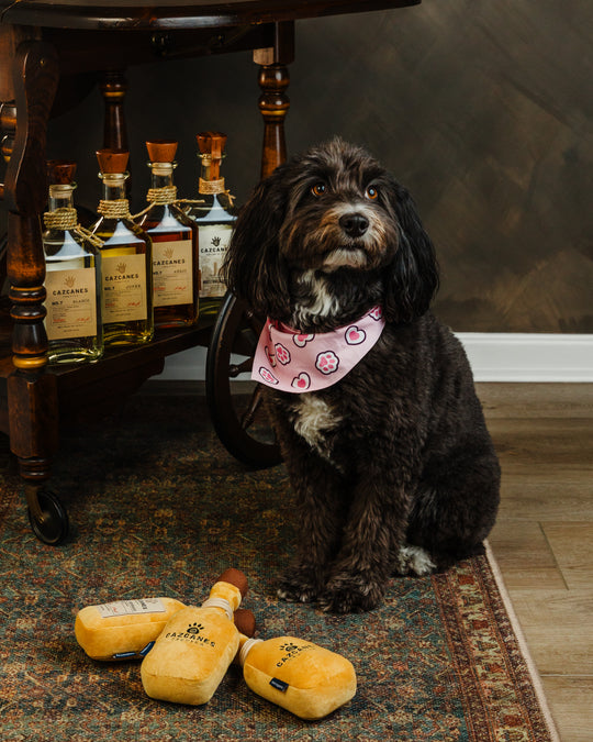 Cazcanes Dog Toy