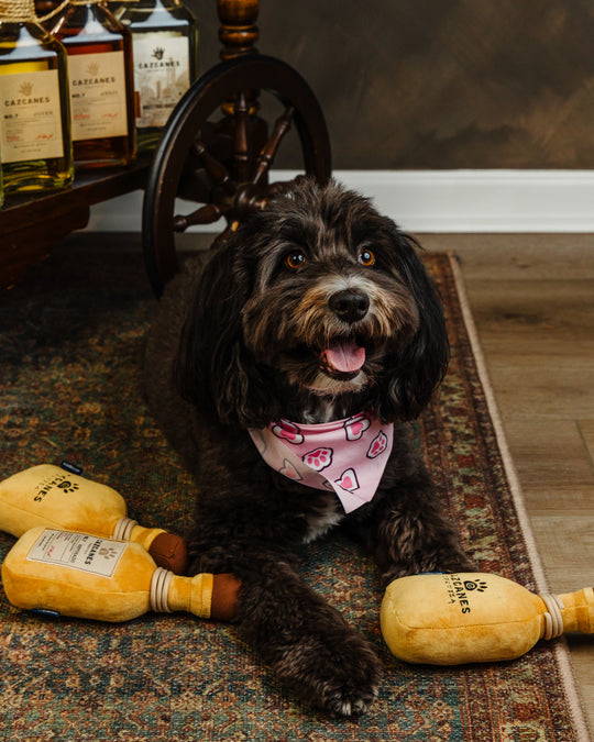 Cazcanes Dog Toy