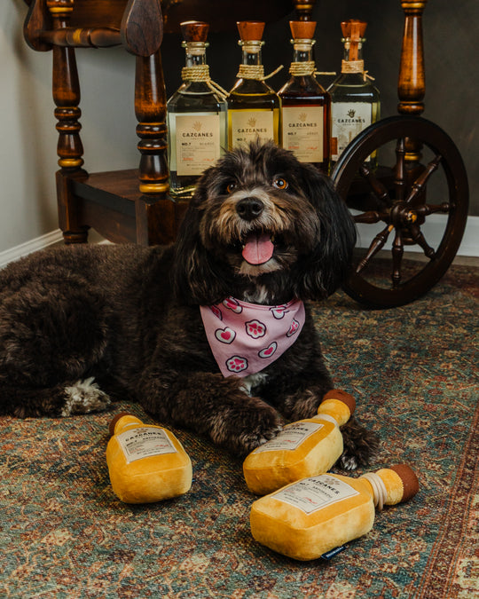 Cazcanes Dog Toy